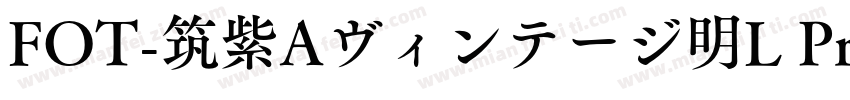 FOT-筑紫Aヴィンテージ明L Pro R字体转换